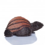 Amy Leathery Turtle - Soft Toy Amy Leathery Turtle - Soft Toy