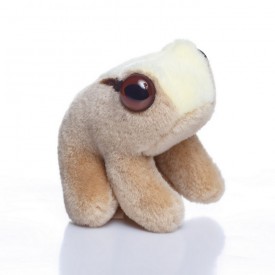 Ben Baw Baw Frog - Soft Toy Ben Baw Baw Frog - Soft Toy