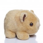 Bruce Forest Wombat - Soft Toy