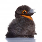 Matthew Marbled Frogmouth - Soft Toy Matthew Marbled Frogmouth - Soft Toy