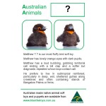 Australian Native Animal Resource Kit
