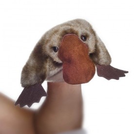 Toby Platypus - Puppet Toby Platypus - Puppet