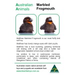 Australian Native Animal Resource Kit