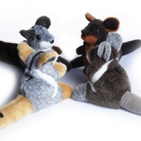 Wallaby Gang Meeting
