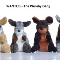 Wanted