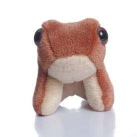 William Wotjulum Frog - Soft Toy William Wotjulum Frog - Soft Toy