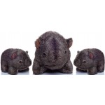 The Wombat Family - Bruce and the kids The Wombat Family - Bruce and the kids