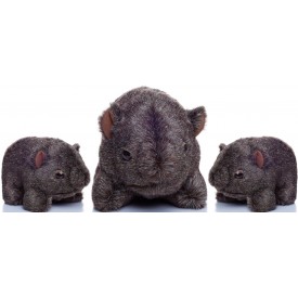 The Wombat Family - Bruce and the kids The Wombat Family - Bruce and the kids