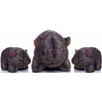 The Wombat Family - Bruce and the kids The Wombat Family - Bruce and the kids